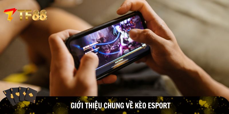 Cá cược eSport ngày càng trở nên phổ biến