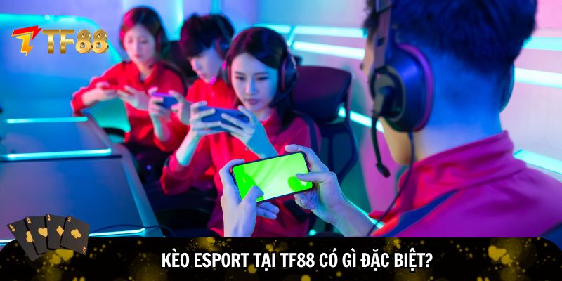 Trải nghiệm cá cược cùng TF88