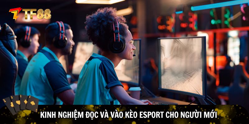 Hướng dẫn vào kèo cược cho người mới
