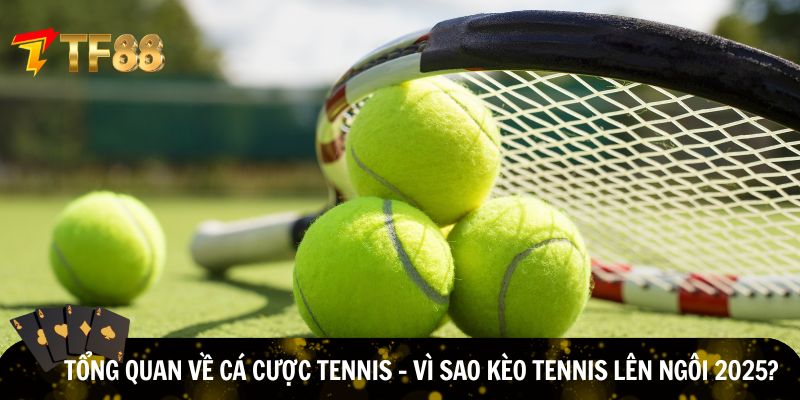 Tổng quan về cá cược tennis