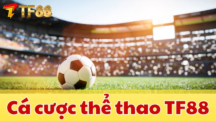 Ảnh minh hoạ: Giao diện cá cược thể thao tại TF88