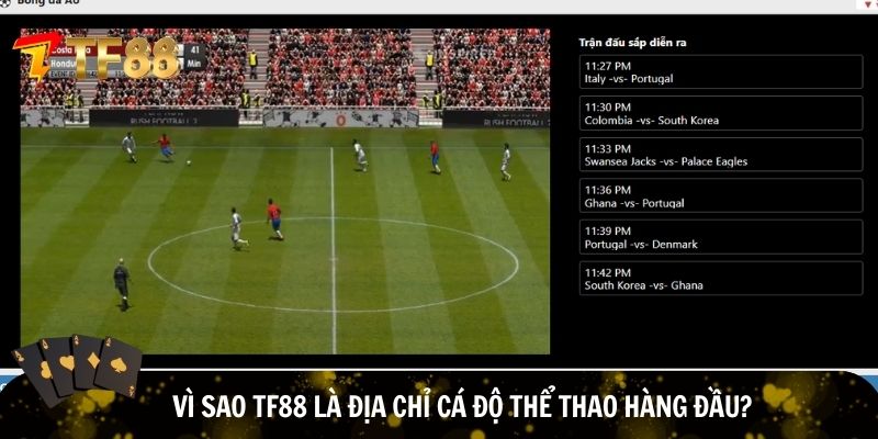 TF88 là địa chỉ cá độ thể thao hàng đầu