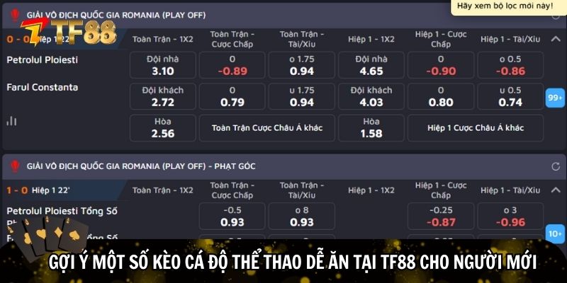 Một số kèo cá độ thể thao dễ ăn tại TF88 cho người mới