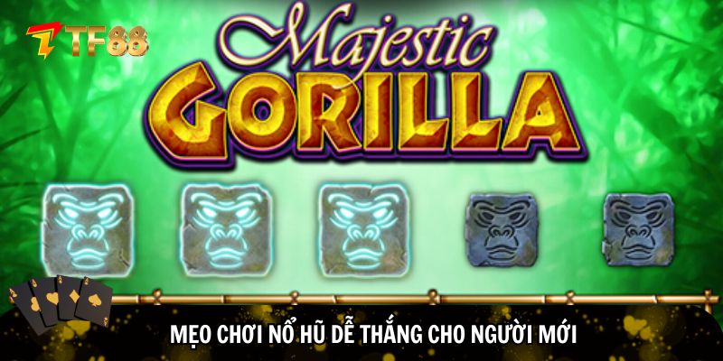 Mẹo chơi nổ hũ dễ thắng cho người mới