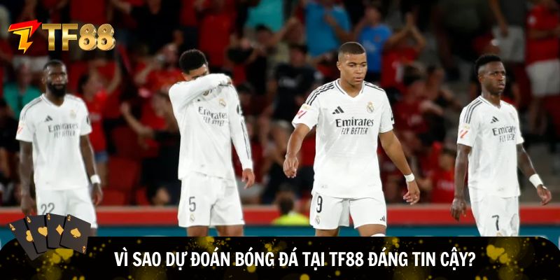Dự đoán bóng đá tại TF88 cực chuẩn