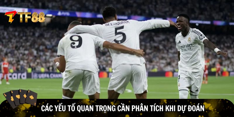 Yếu tố quan trọng cần phân tích khi Dự đoán bóng đá