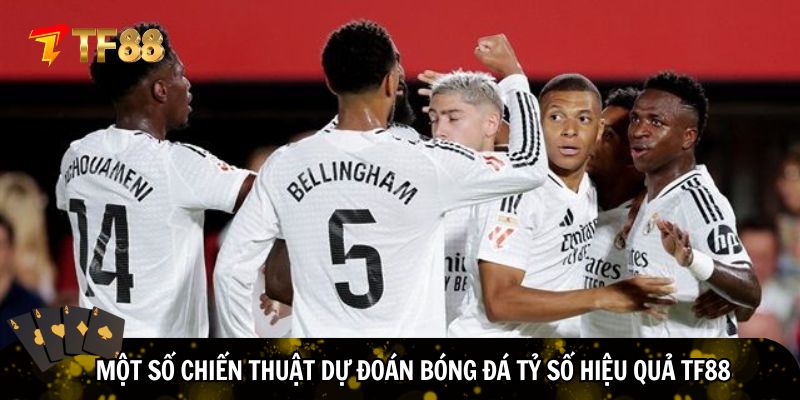 Vận dụng chiến thuật dự đoán bóng đá tỷ số hiệu quả