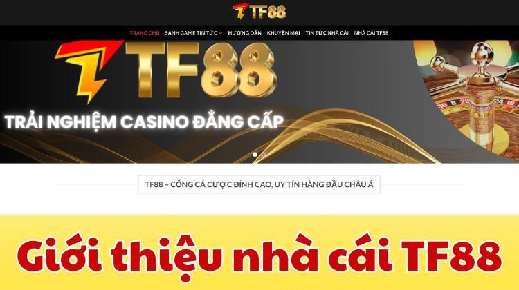 Giao diện Nhà cái TF88