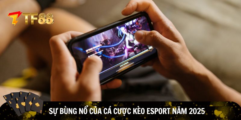 Cá cược kèo eSport năm 2025 rất được yêu thích