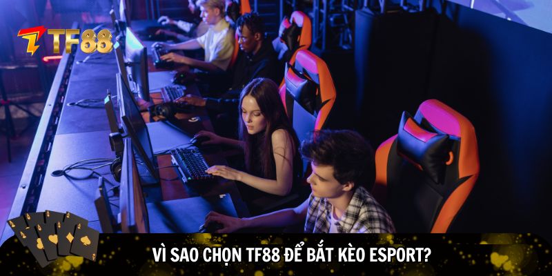TF88 điểm đến cá cược được yêu thích