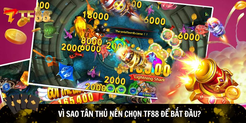Tân thủ tin chọn TF88 để bắt đầu chơi