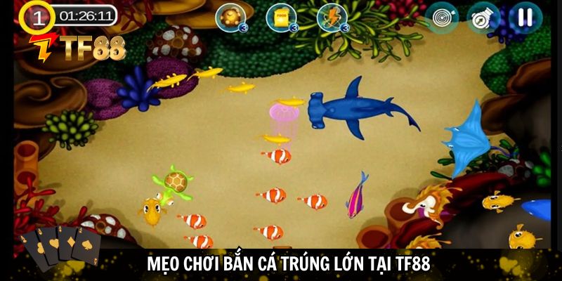 Kinh nghiệm chơi bắn cá trúng lớn tại TF88