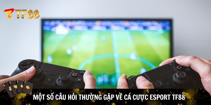 Một số câu hỏi thường gặp về cá cược eSport TF88